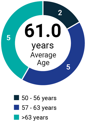 03_425462(1)_piechart_age[1].jpg