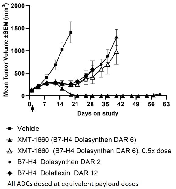 mrsn-20201231_g6.jpg