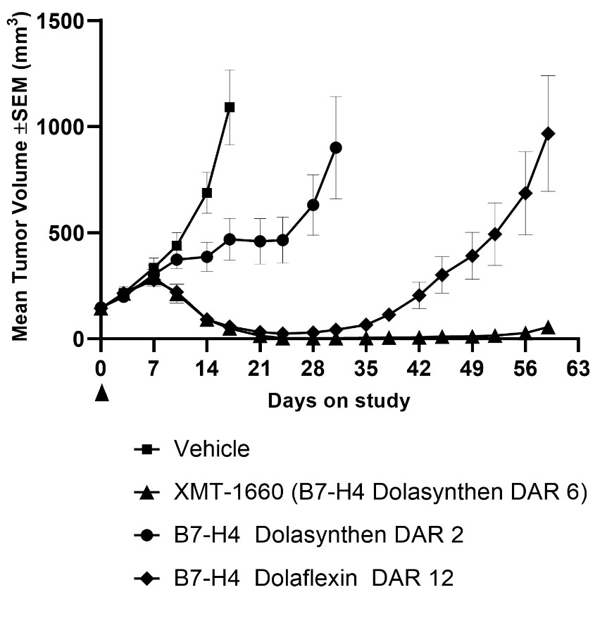 mrsn-20201231_g7.jpg