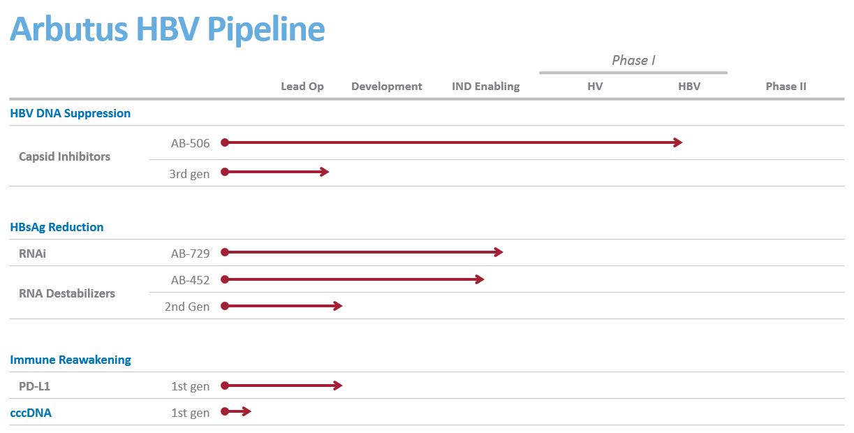 hbvpipelinenoexplanatorytext.jpg