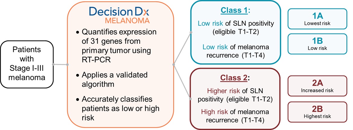 diagram13.jpg