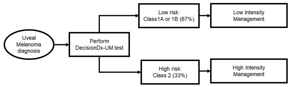 diagram8a03.jpg