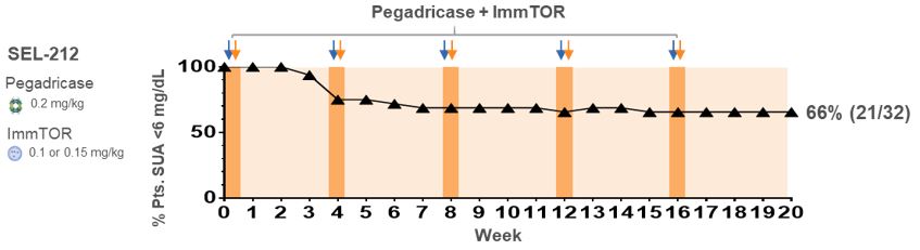 figure_12.jpg