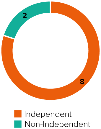 03_426282-1_pie_corpgovthighlightsindependence.jpg