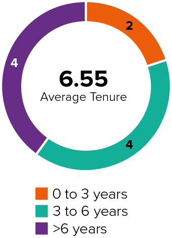 03_426282-1_pie_corpgovthighlightstenure_tenure.jpg