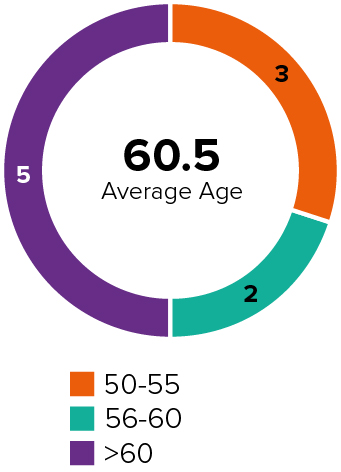 03_426282-1_pie_corpgovthighlightsage_age.jpg