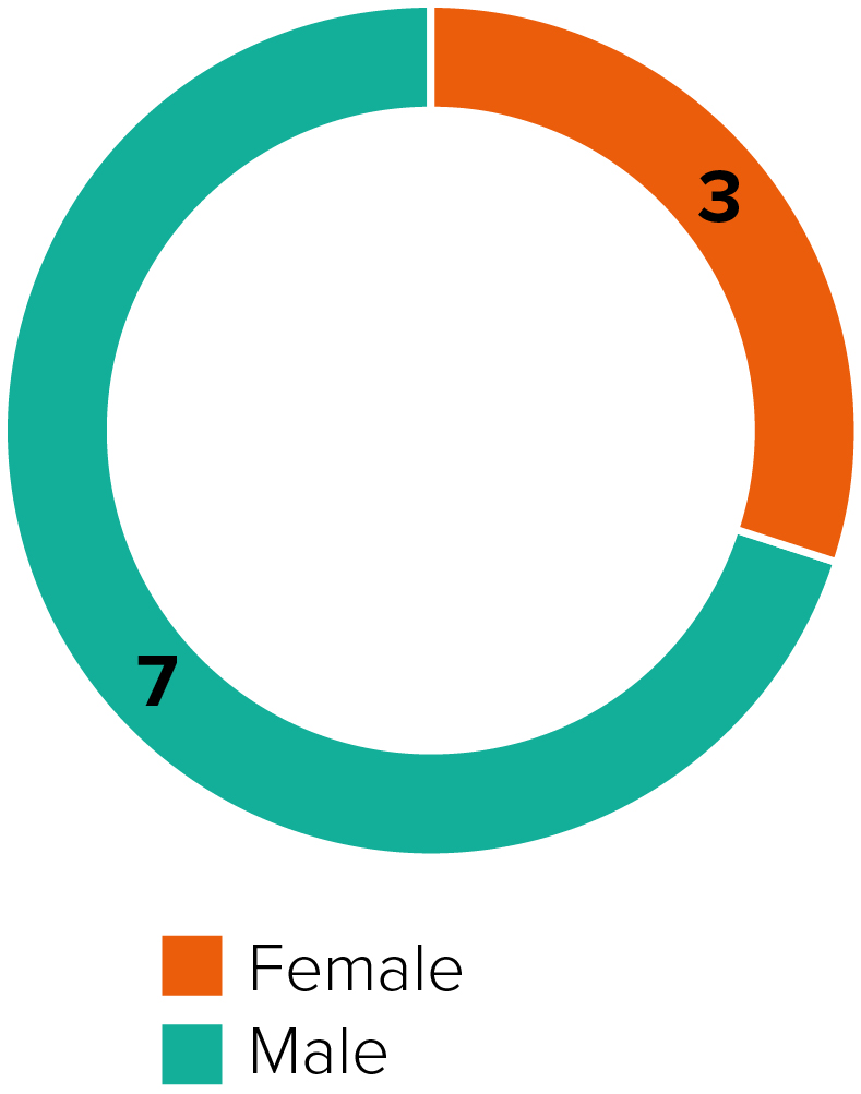 pg9-pie_snapshotgender.jpg