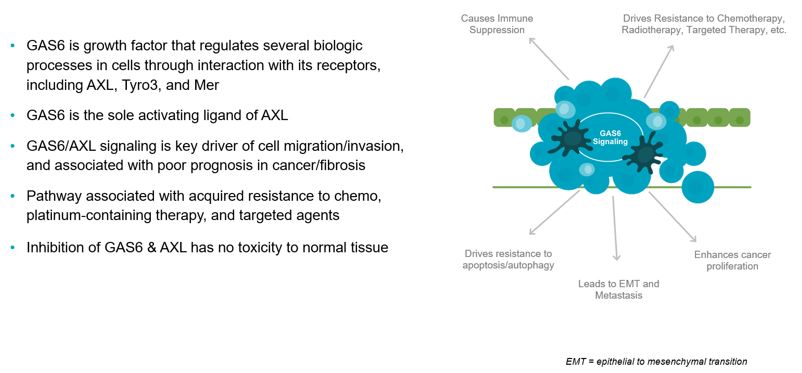 figure4.jpg