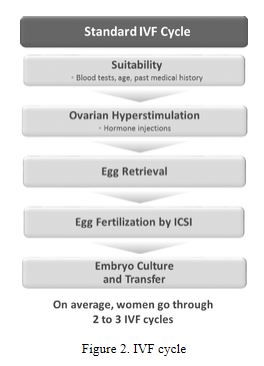 figure2a01.jpg