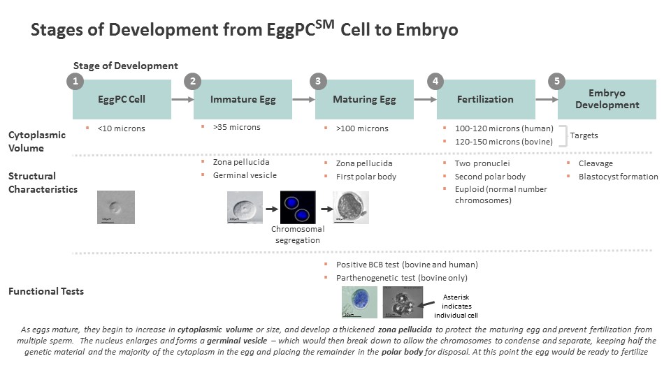 slide1a06.jpg