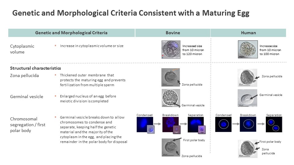 slide3a03.jpg