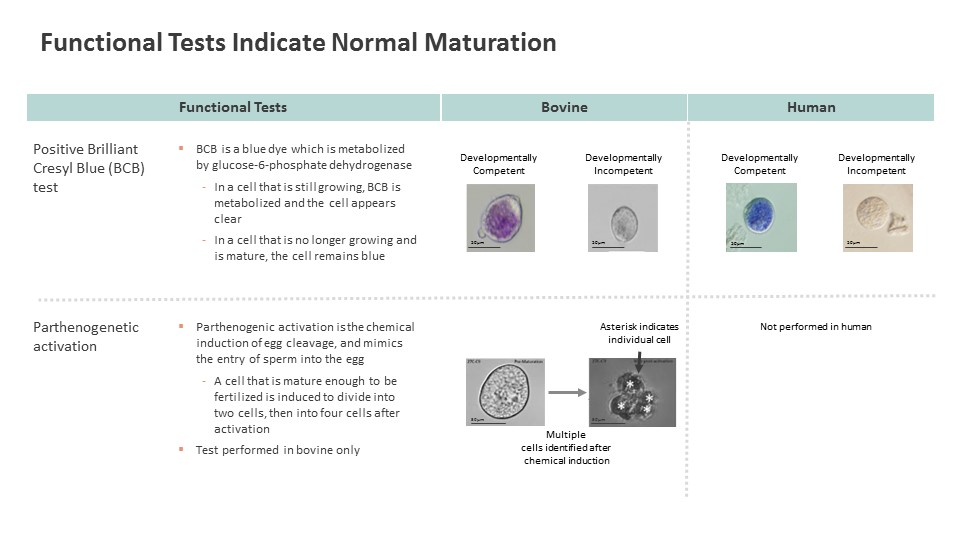 slide4a02.jpg