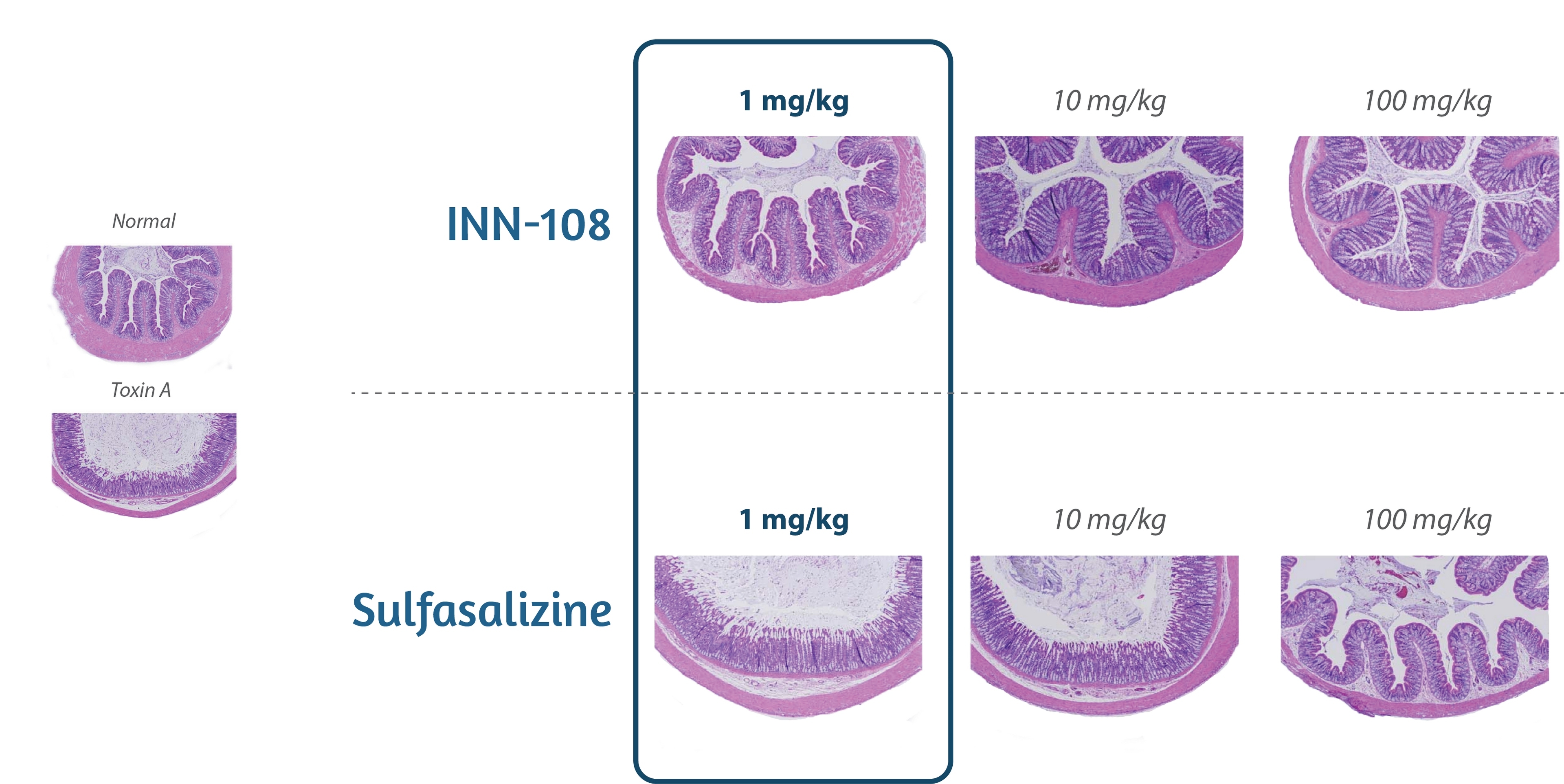 fig14.jpg