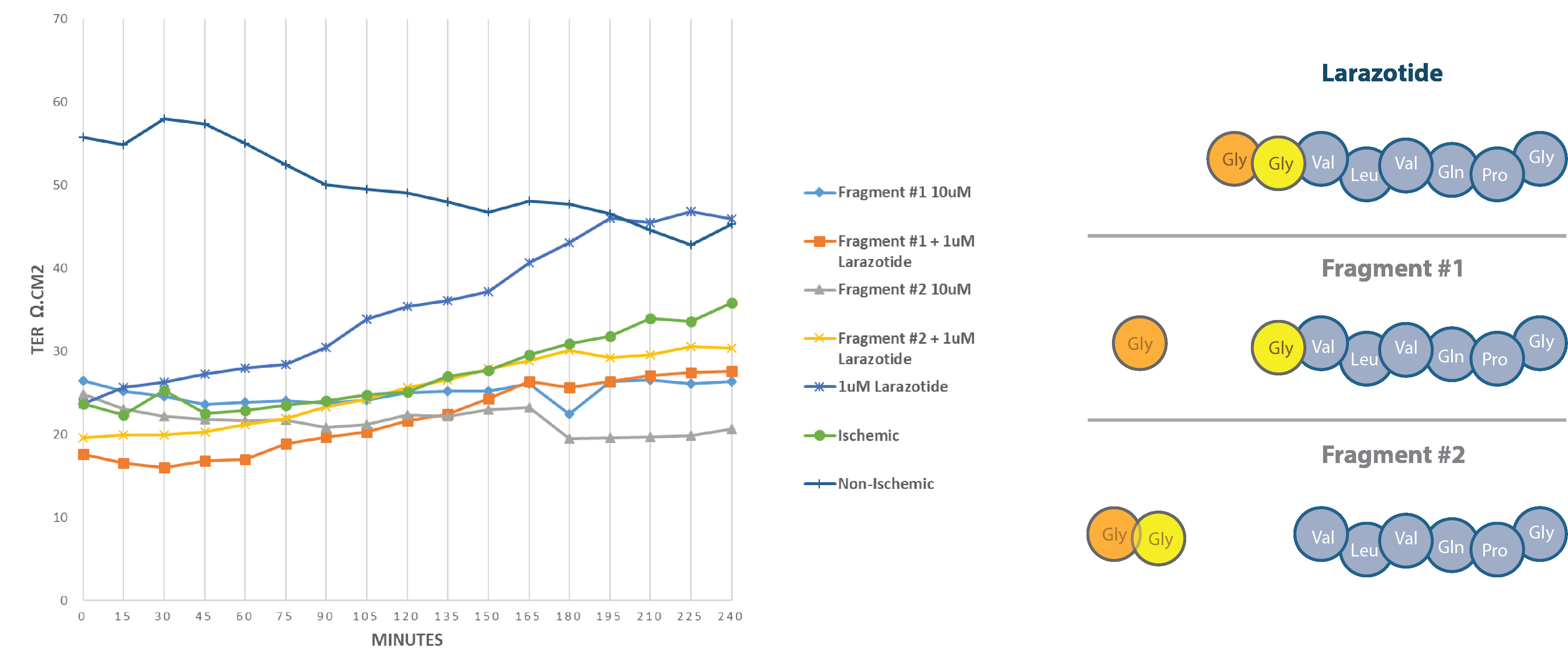 fig4.jpg