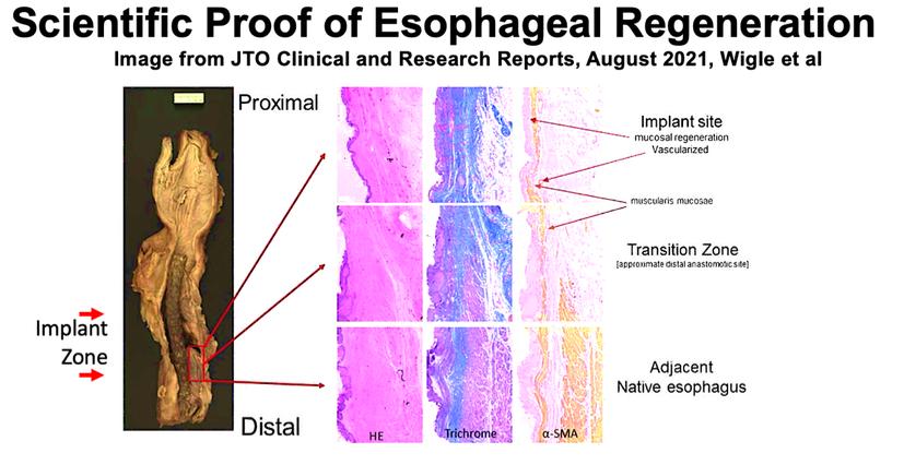 Diagram

Description automatically generated