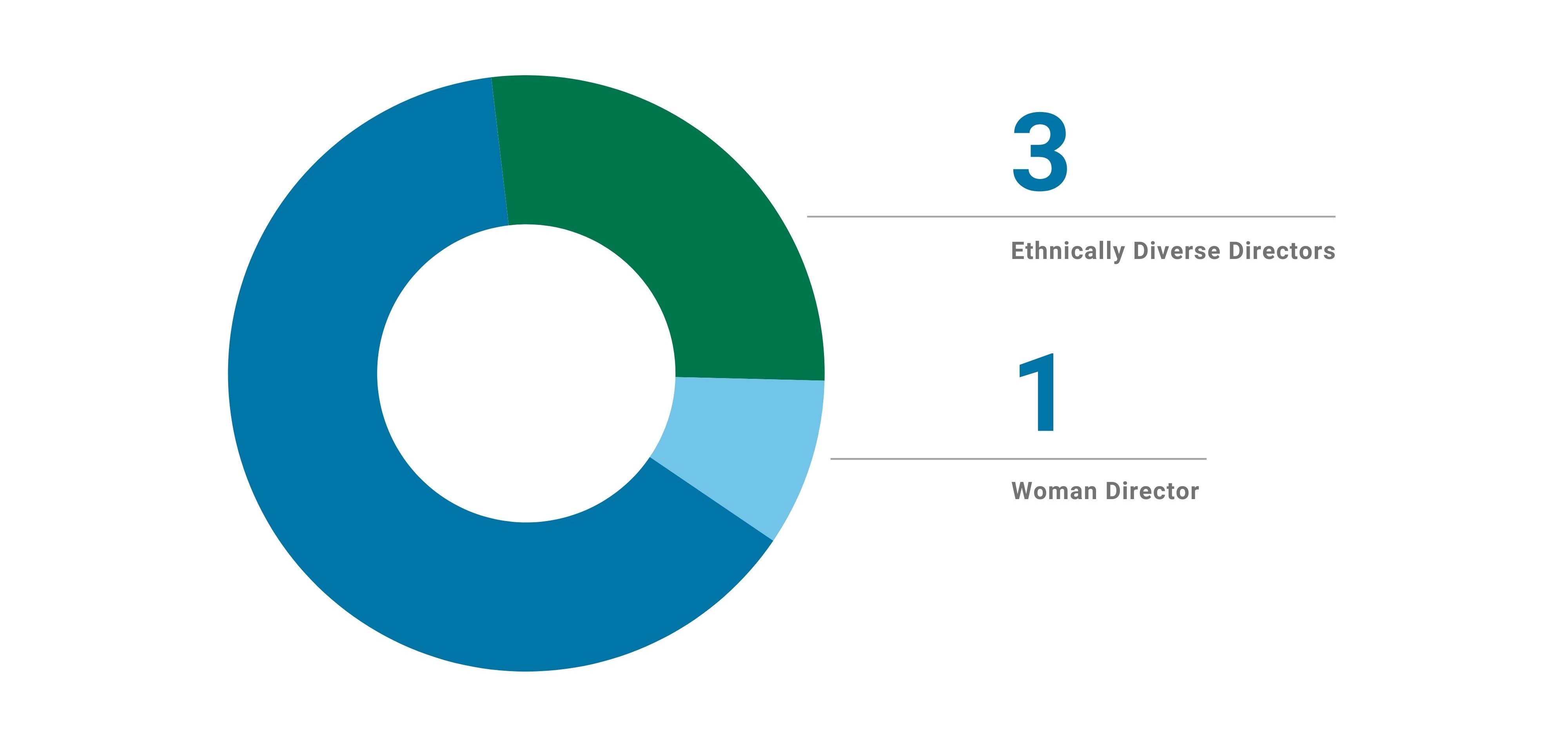 Board Diversity Graphic 1.1.jpg