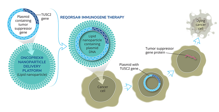 oncoprexlnp_850.jpg