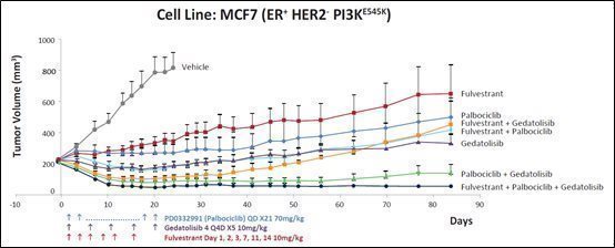 celc_10qimg1.jpg