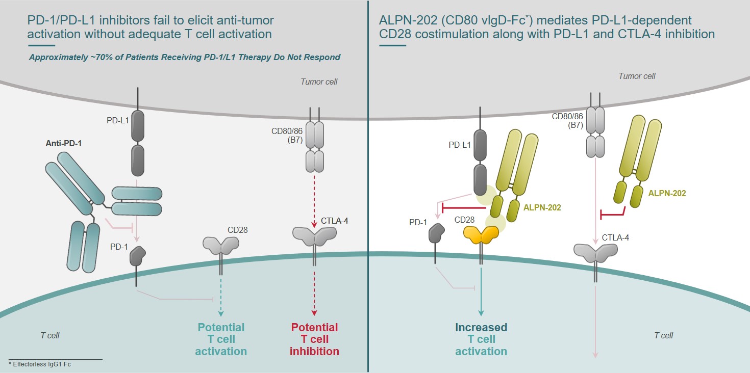 alpn-20201231_g13.jpg