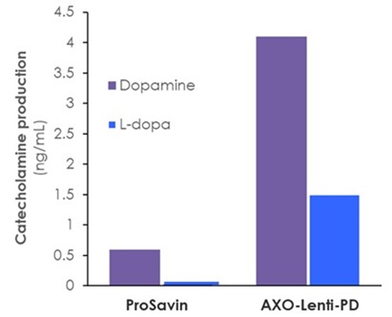 graph1a.jpg