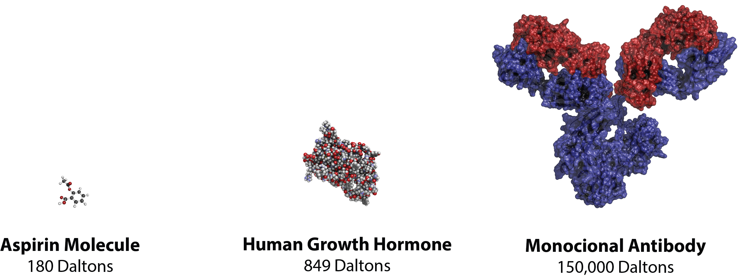 [MISSING IMAGE: t1602975_molecule.jpg]