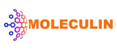 moleculinnewlogoresized.jpg