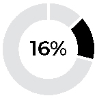 piechart_ceoannualcashincea.jpg