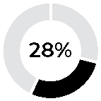 piechart_neoannualcashincea.jpg