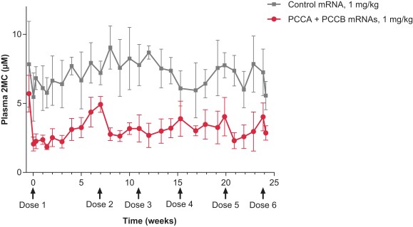 mrna-20201231_g16.jpg