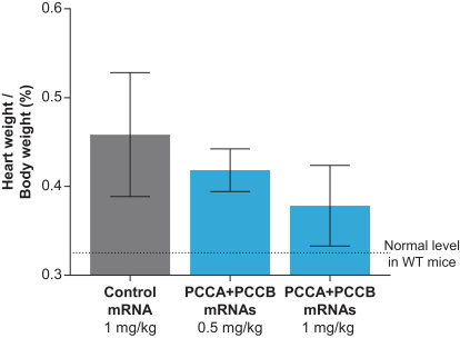 mrna-20201231_g37.jpg