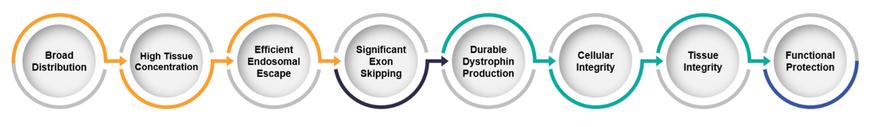 Diagram

Description automatically generated