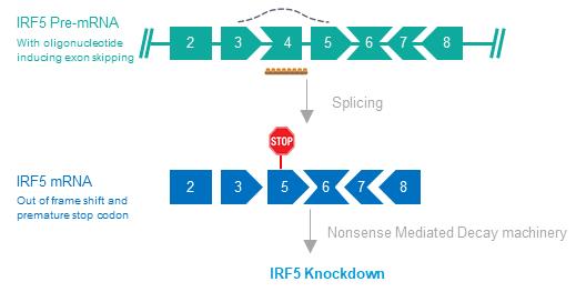 Diagram

Description automatically generated