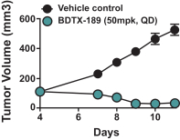 bdtx-20191231_g12.jpg