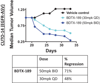 bdtx-20191231_g14.jpg