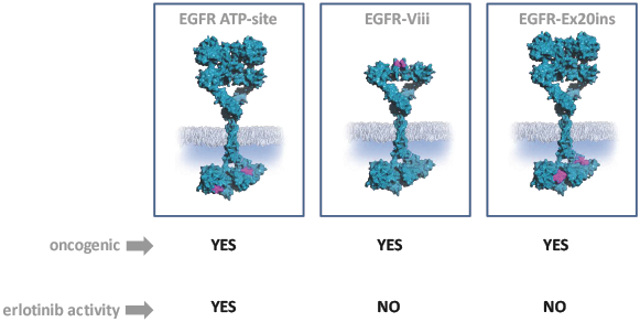 bdtx-20191231_g3.jpg