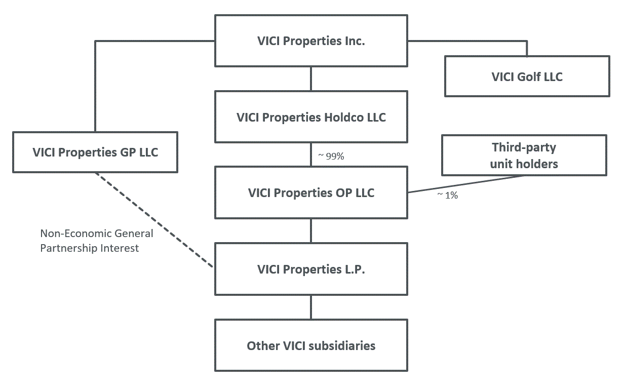 VICI Org Struture.gif