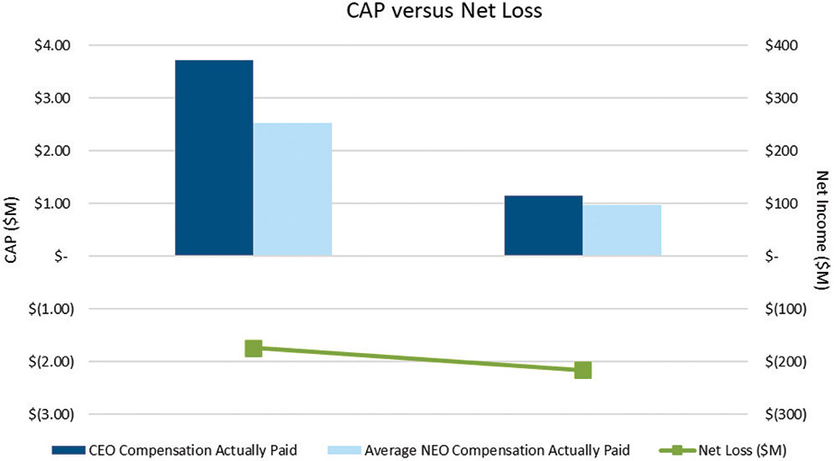 [MISSING IMAGE: bc_capvsnetloss-4clr.jpg]