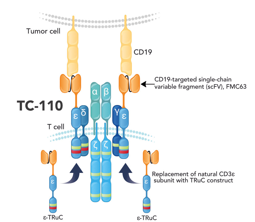 tcrr10kb19.jpg