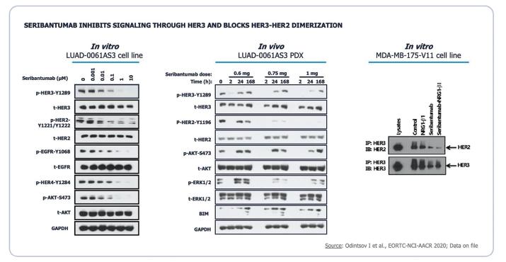 Graphical user interface, application, table

Description automatically generated