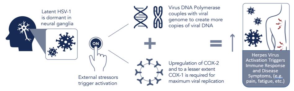 Diagram

Description automatically generated