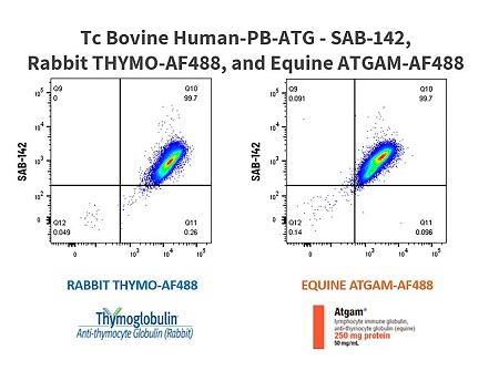 figure16.jpg