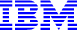 (IBM LOGO)