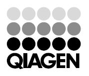 qiagenbwlogo.jpg