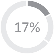 piechart_ceoneocompensationbreakdown2_pie_Base Salary2.jpg