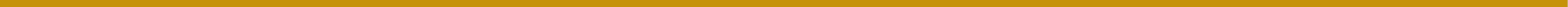 Gold Line - Thick 625 x 20.jpg