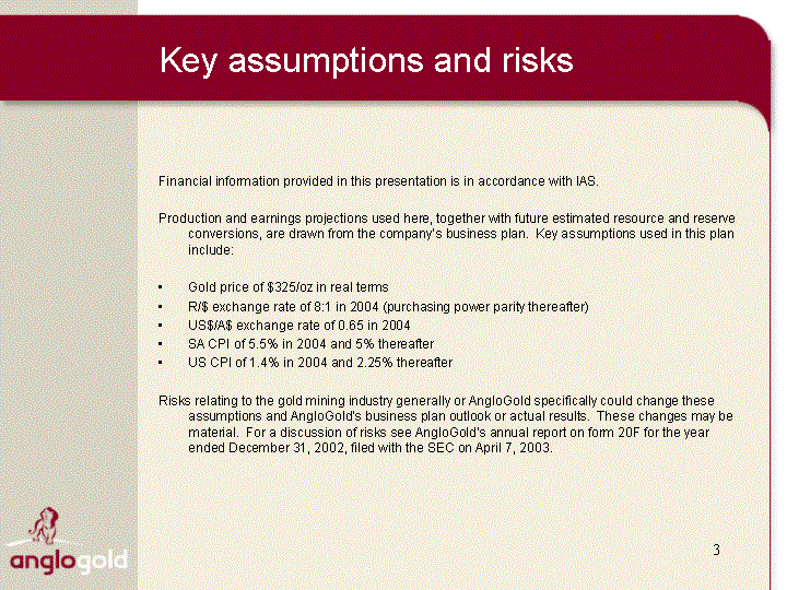 risks assumptions business plan