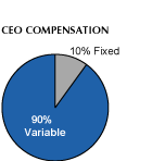 (CEO COMP PIE)