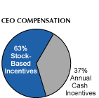 (CEO COMP PIE)