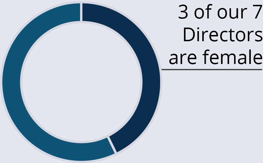 piechart_genderdiversity.jpg