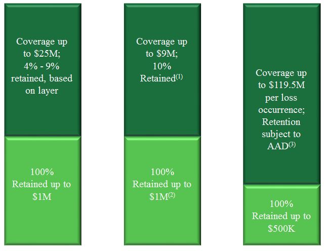 reinsurancecharta09.jpg